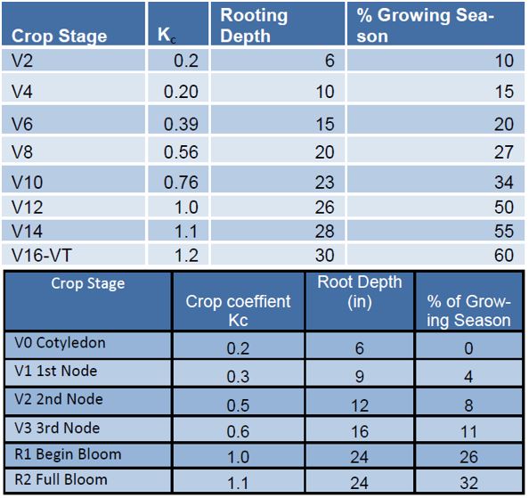 Crop water use coefficients 